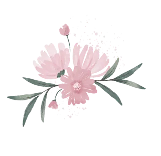 épilation lumière pulsée à Cellettes près de Blois dans le Loir-et-Cher 41